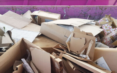 Cardboard Recycling 101: Where to Take Boxes in New Zealand