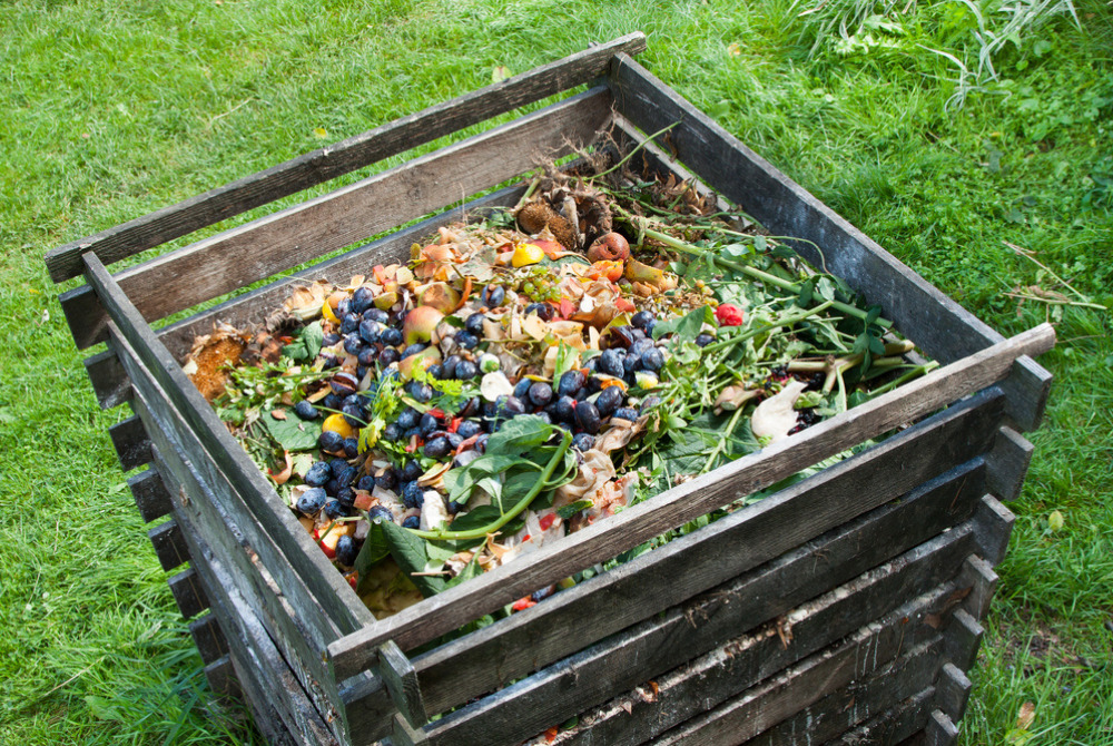 How to compost at home