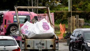 Pink Bag NZ