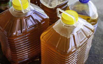 Where to Take Waste Oil for Disposal or Recycling in Auckland