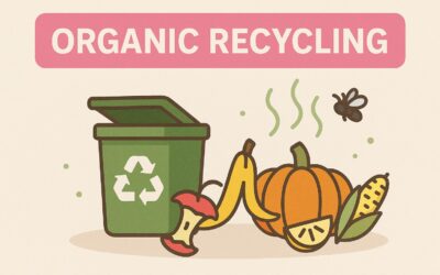 Common Challenges in Organic Recycling and How to Overcome Them