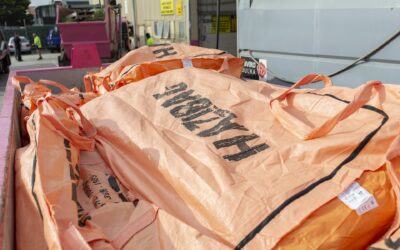 Does Pink Bins Dispose of Asbestos?