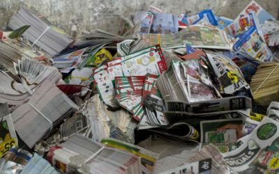 The Environmental Benefits of Eco-Conscious Junk Removal
