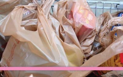 Can reusable shopping bags do more harm than good?