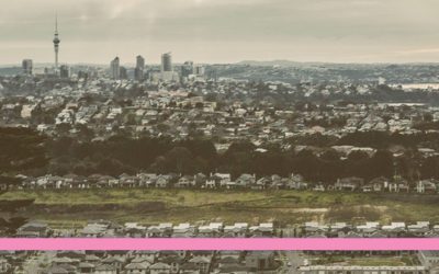 What you need to know about the landfill levy