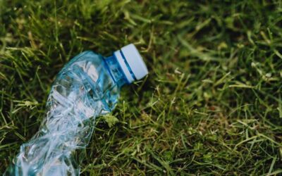 What Are The New Recycling Rules In NZ?